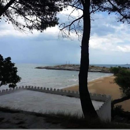 Aparthotel Il Capricorno Vieste Exteriér fotografie